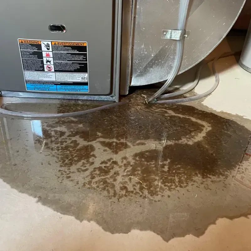 Appliance Leak Cleanup in Orchard Lake, MI